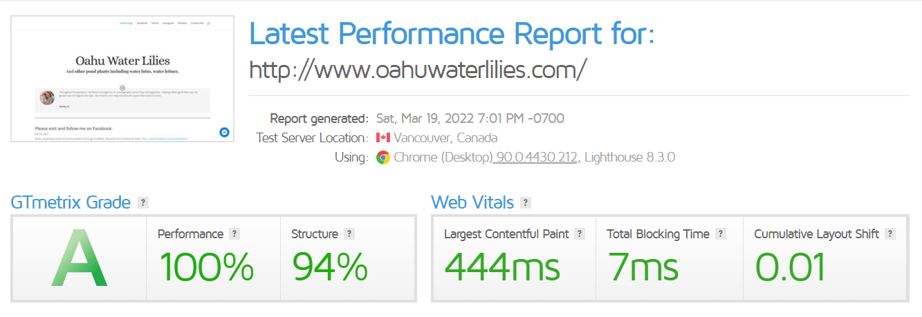 gtmetrix score